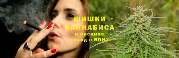 шишки Баксан