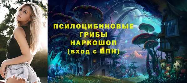шишки Баксан