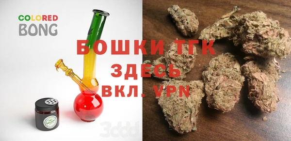 шишки Баксан