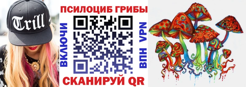 Галлюциногенные грибы ЛСД  где купить наркотик  Зубцов 
