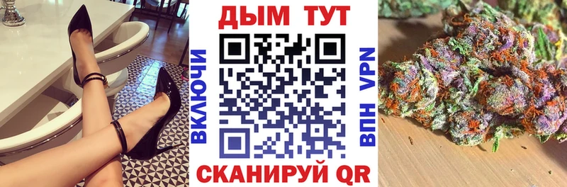 Марихуана сатива продажа наркотиков Зубцов
